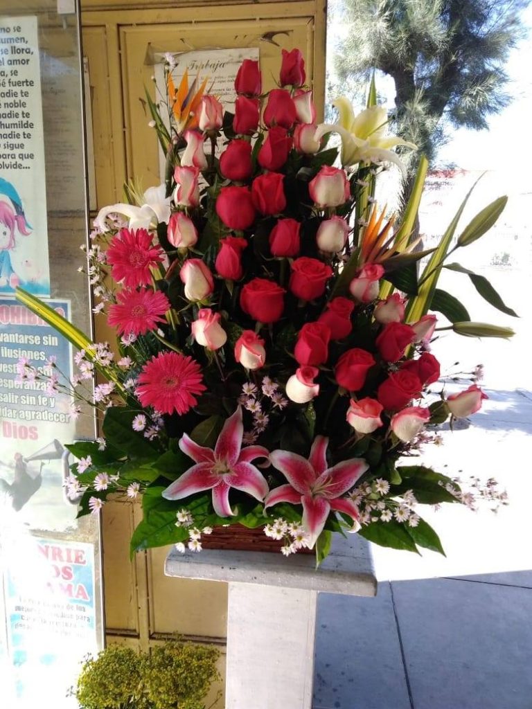 ?▷ Florerias en Tumbes »»【 Delivery 24h 】 | Florerias Vip